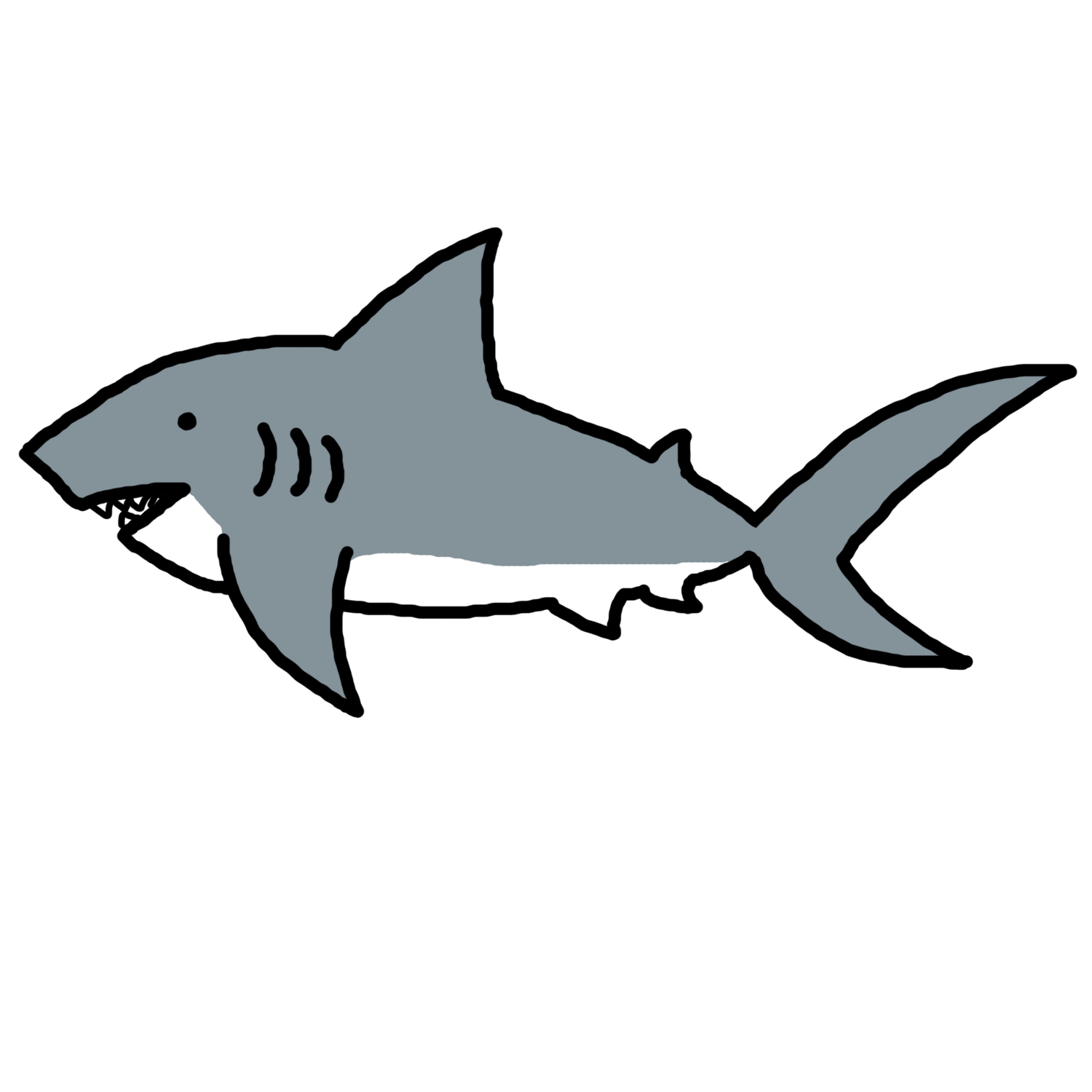 Clipart Sharks