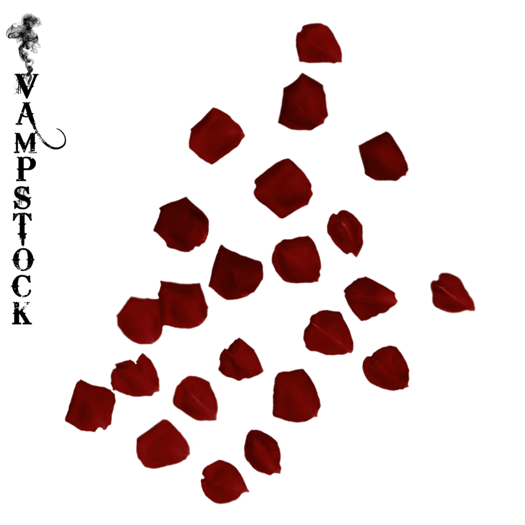 Rose Petal PNG 4 Vampstock by VAMPSTOCK on DeviantArt