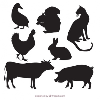 Cow Vectors, Photos and PSD files | Free Download