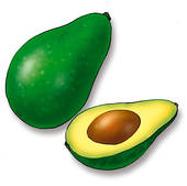 Avocado Clipart Clip Art Avocados Color