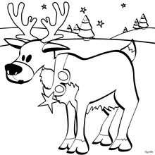 Caribou : Coloring pages, Drawing for Kids, Kids Crafts and ...