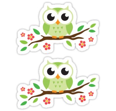 1000+ images about Owl!!