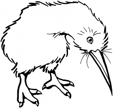 Kiwi Bird Image - ClipArt Best