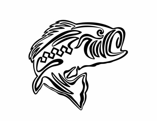 Fish Line Drawing