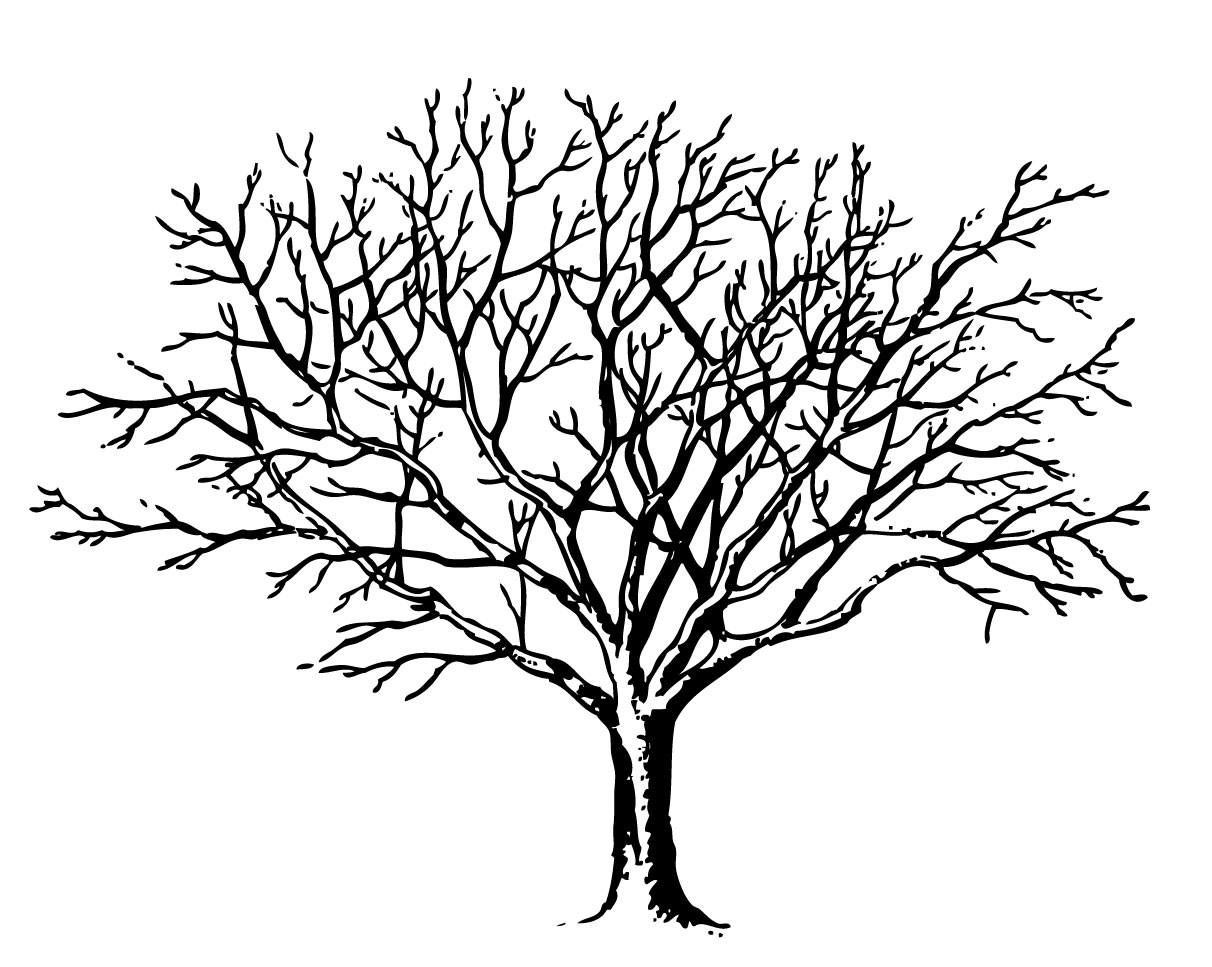 Winter Tree Clip Art
