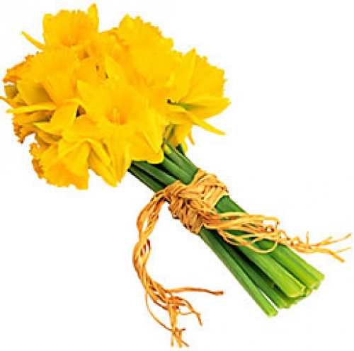 photo of a bouquet of daffodils picture photo of a bouquet of ...