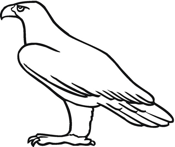 Golden Eagle Colouring Page