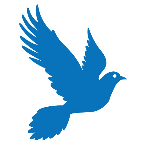 Bonus: Bluebird Vector from Shutterstock – One Week Only!