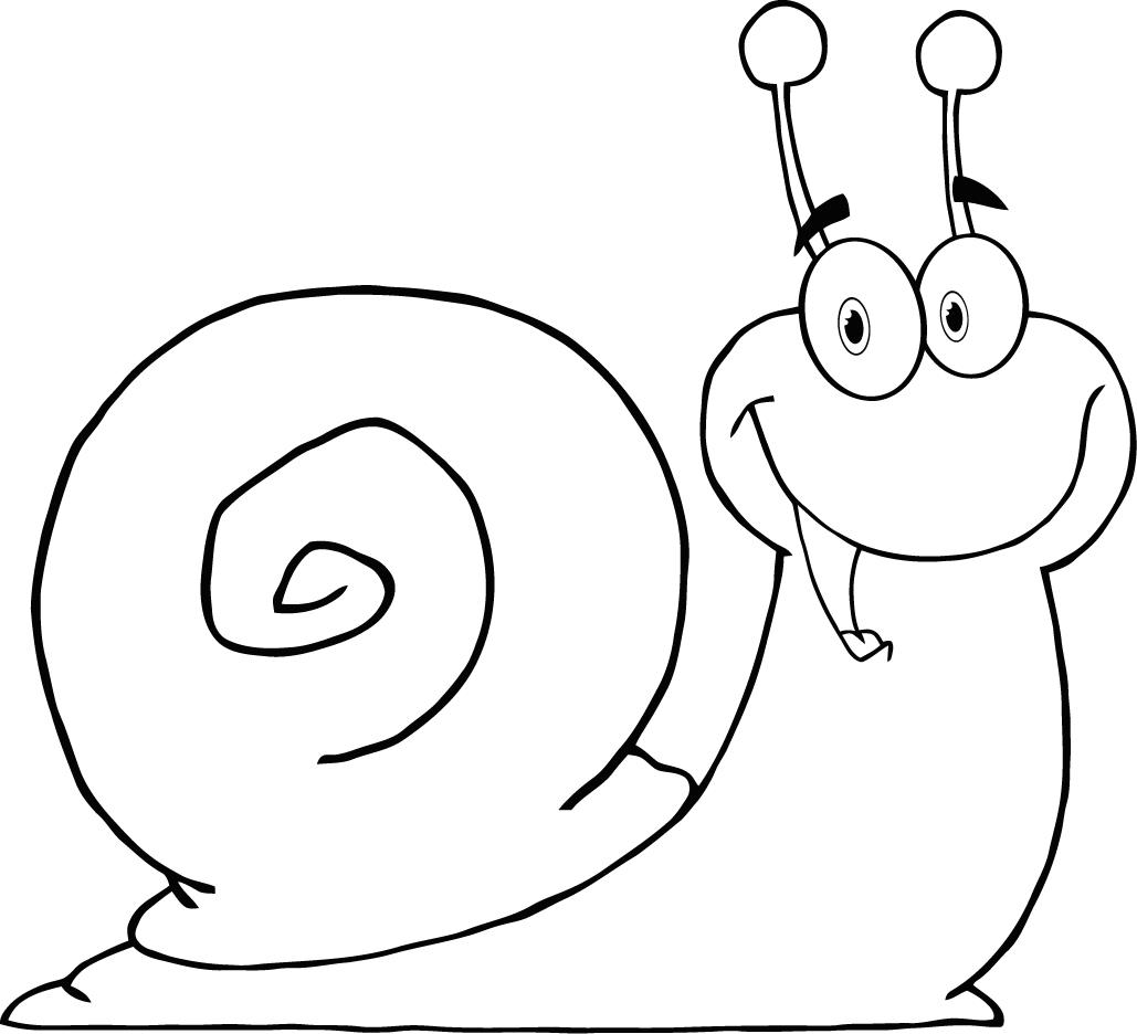Learning Ideas - Grades K-8: How to Draw Mollusks - Snails, Etc.