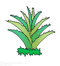 plants clip art royalty free