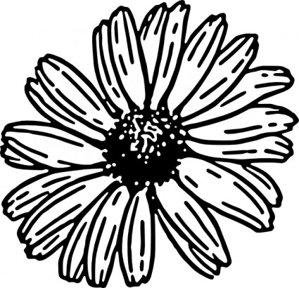 Daisy clip art Vector clip art - Free vector for free download