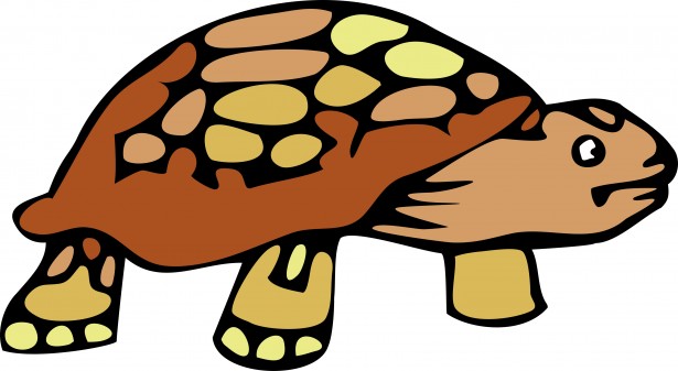 Tortoise Clipart | Free Download Clip Art | Free Clip Art | on ...
