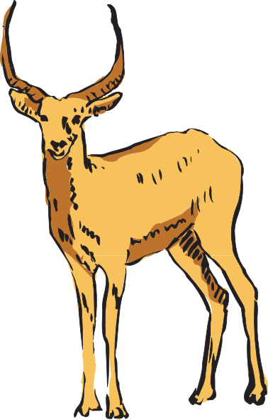 Standing Antelope Drawing Clip Art - vector clip art ...