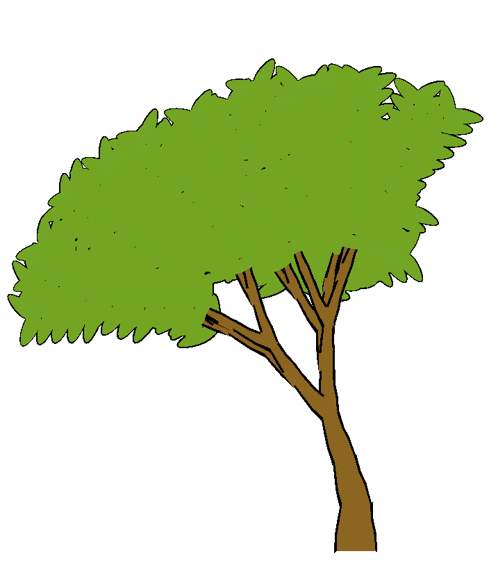 Oak Tree Cartoon | Free Download Clip Art | Free Clip Art | on ...