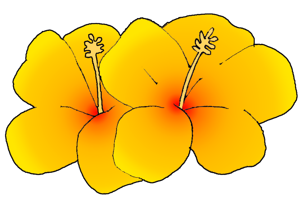 Orange hawaiian flower clipart