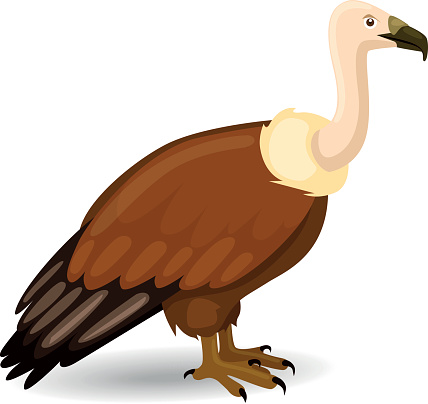 New World Vulture Clip Art, Vector Images & Illustrations