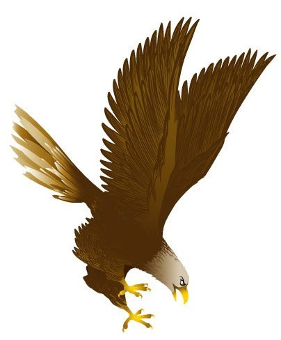 Vector eagle | Vector Animal | Free Vector Download - Free Vector VIP