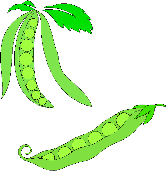 Peas - ClipArt Best