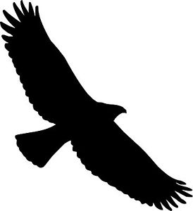 Eagle Bird Silhouette - ClipArt Best