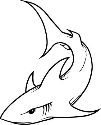 how to draw a hammerhead shark step step - Coolage.net