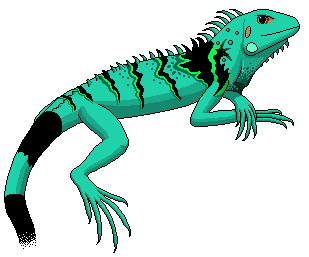 Iguana Clipart - Free Clipart Images