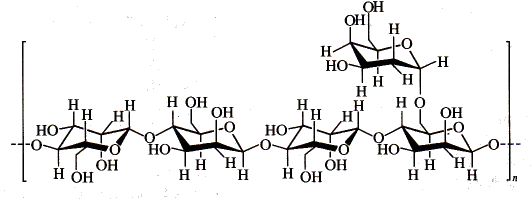 Locust Bean Gum - Ingredients Solutions