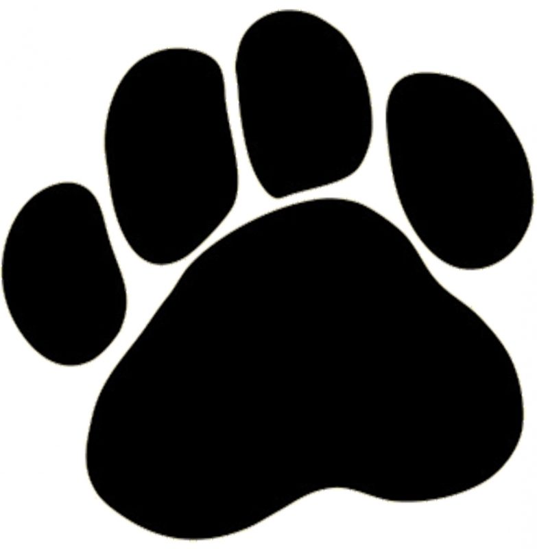 The Beautiful Dogs Paws Photo - Dog Show Pictures