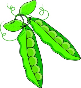 Pea plant clipart