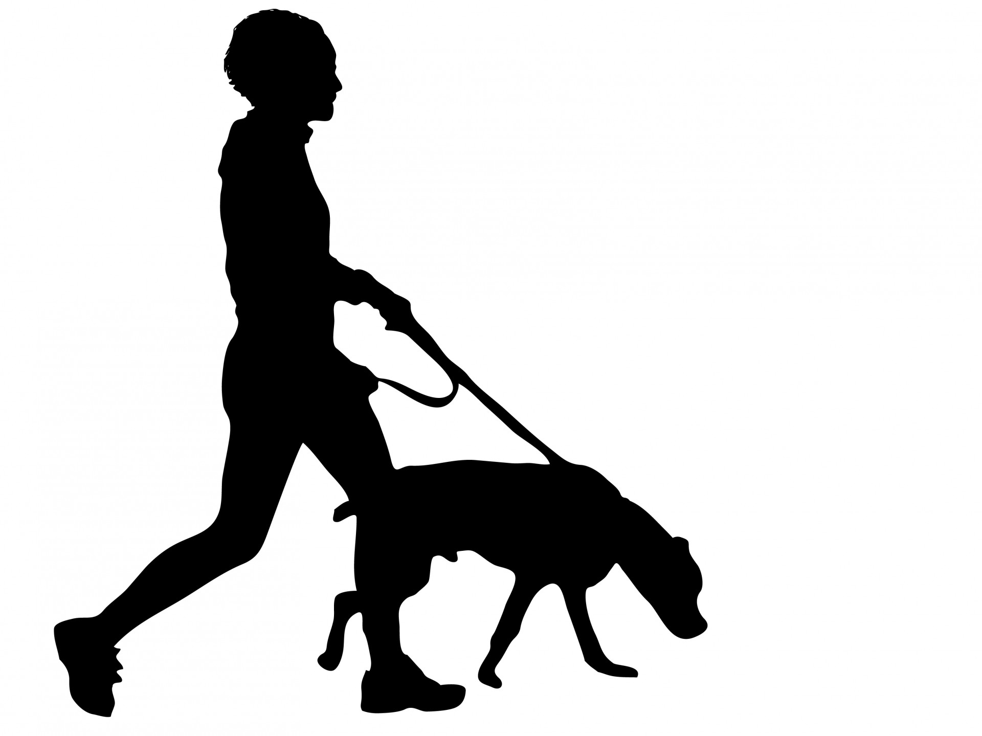 Человек и собака вектор