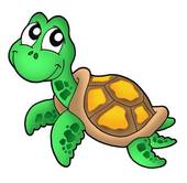 Cartoon Sea Turtle Clipart