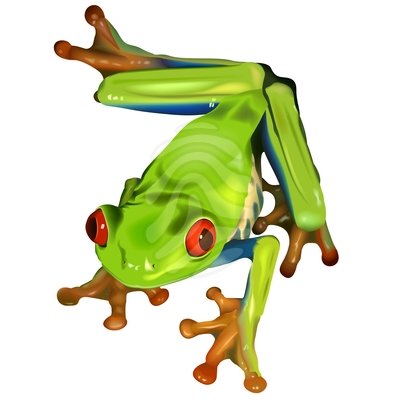 Cartoon Tree Frog