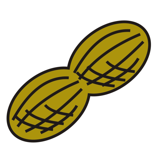 Best Peanuts Clipart #22314 - Clipartion.com