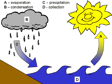 Precipitation Diagram - ClipArt Best