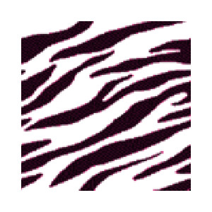 Zebra Mix - Polyvore