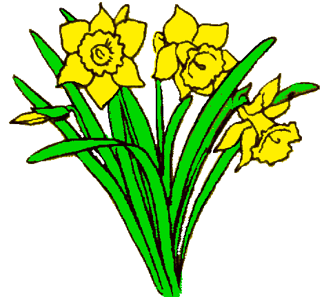 Free clipart daffodils