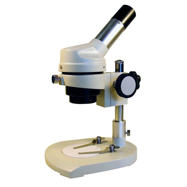 dessecting microscope | Diabetes Inc.