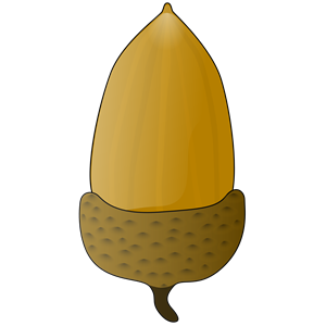 Acorn clipart, cliparts of Acorn free download (wmf, eps, emf, svg ...