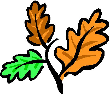 Oak Leaf Pictures | Free Download Clip Art | Free Clip Art | on ...