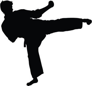 KARATE KICK SILHOUETTE (RSK)Car Bumper Vinyl Top Quality Sticker ...