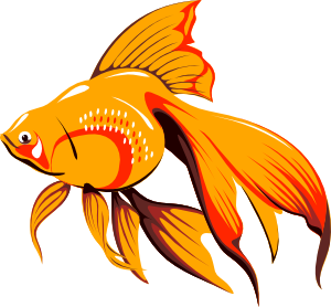 Fish Clip Art - Free Clipart Images