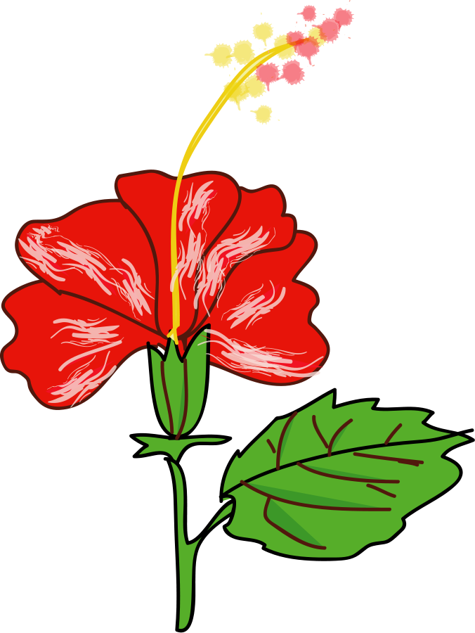 Hibiscus Flower Design | Free Download Clip Art | Free Clip Art ...