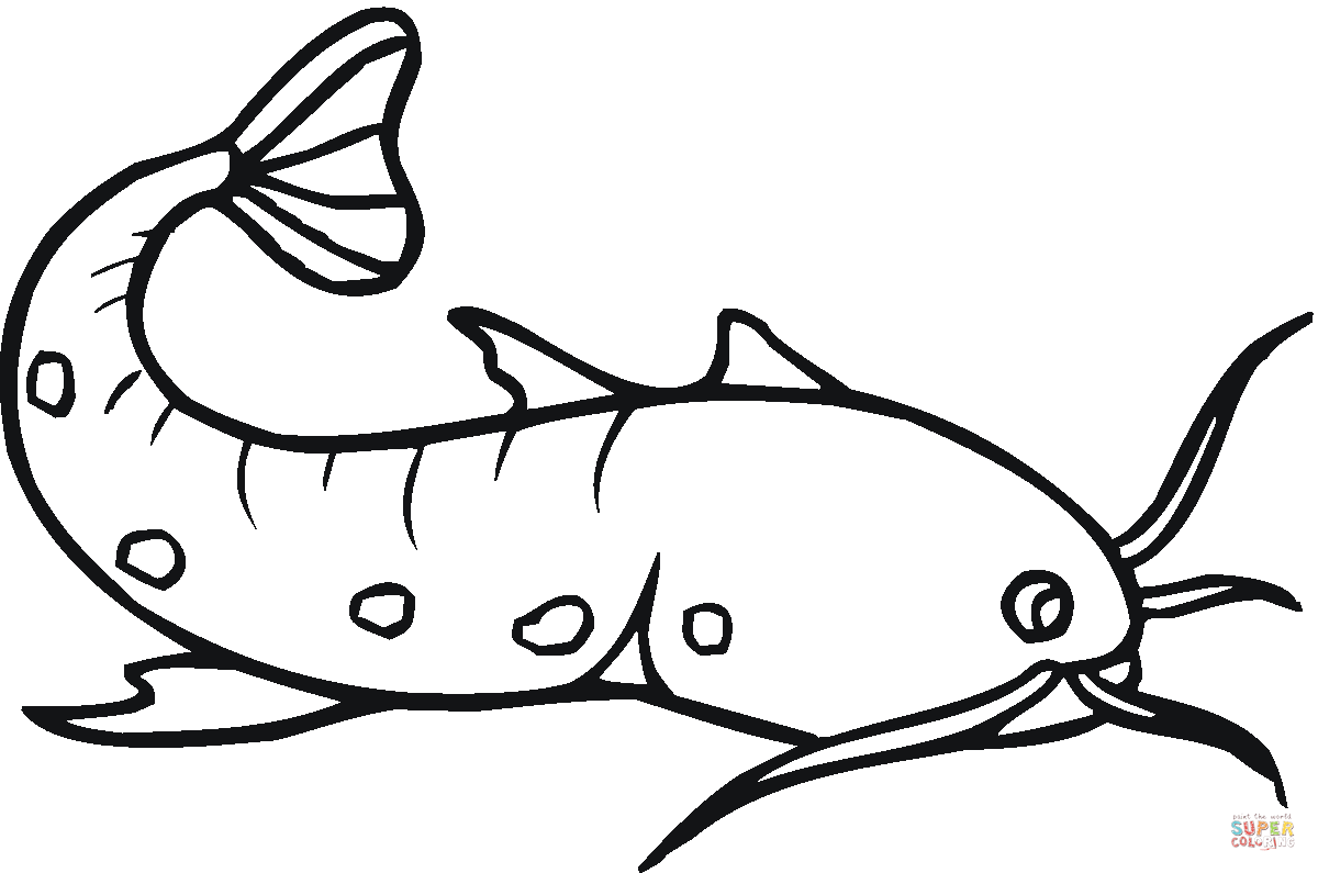 Catfish 23 coloring page | Free Printable Coloring Pages