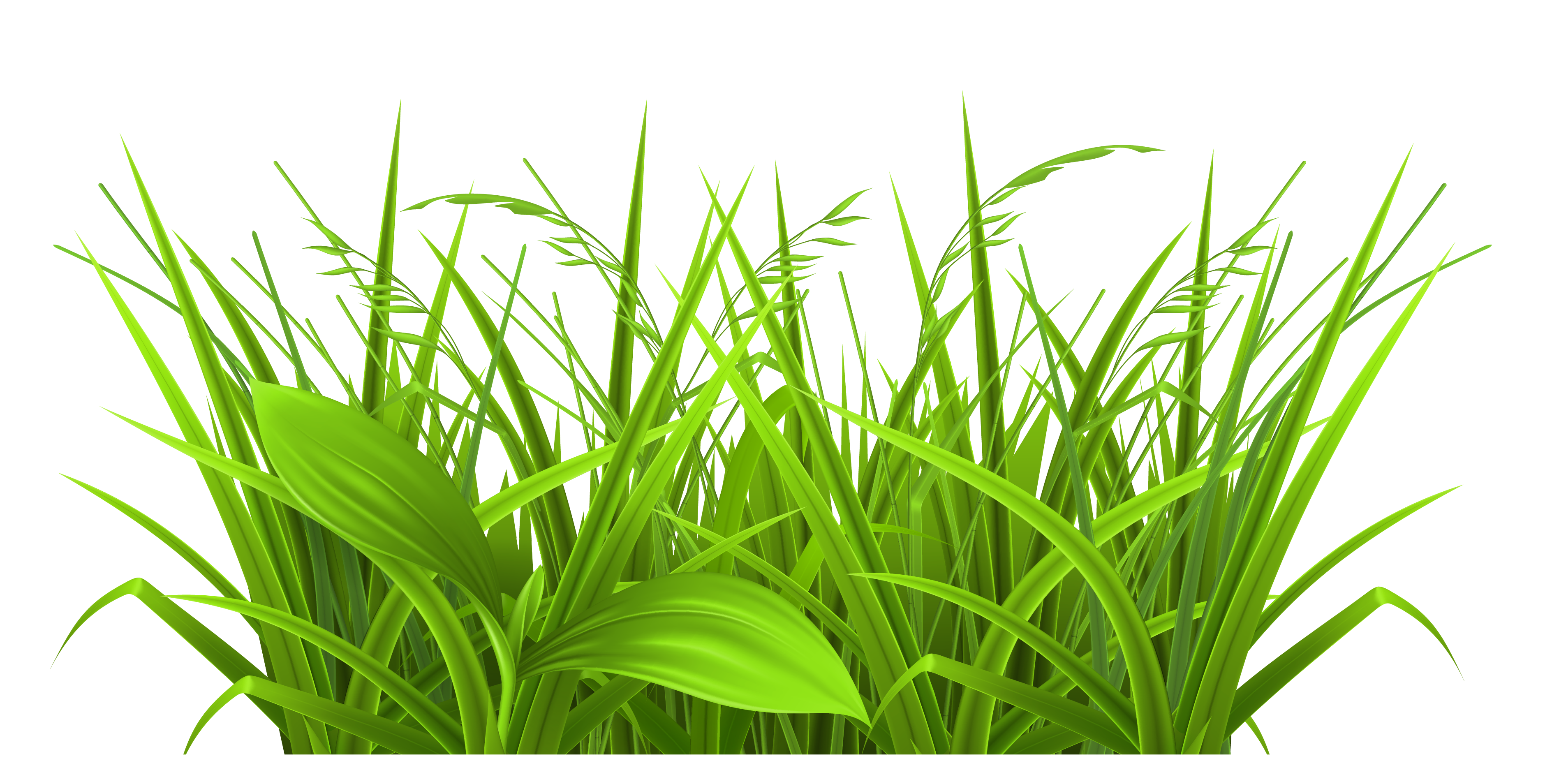 Grass Clipart | Free Download Clip Art | Free Clip Art | on ...