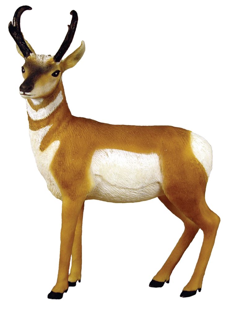 Antelope Clipart - Free Clipart Images