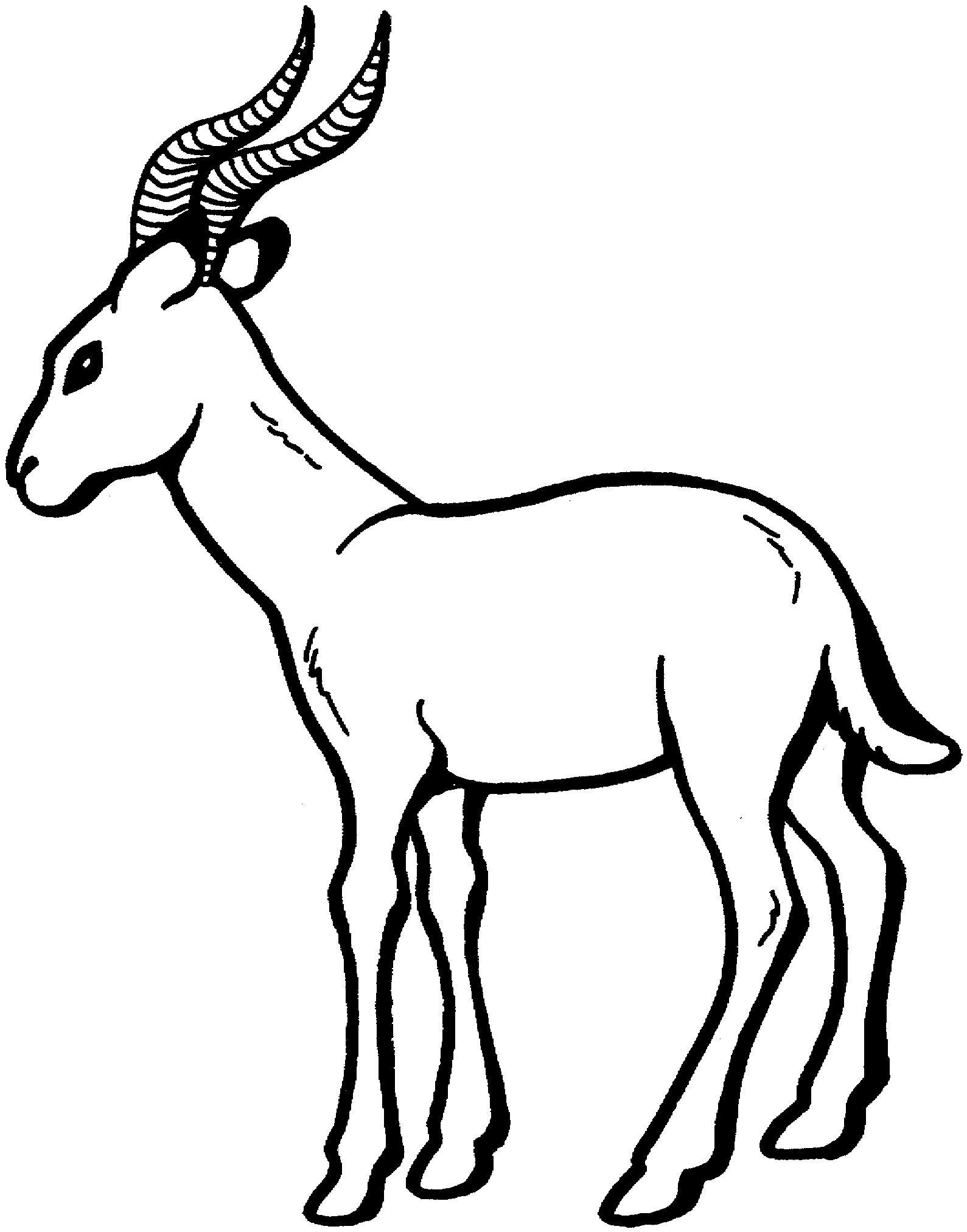 Antelope clipart black and white