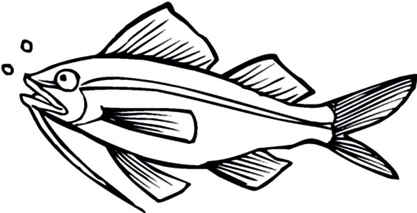 Fresh Water Catfish Coloring Pages: Fresh Water Catfish Coloring ...