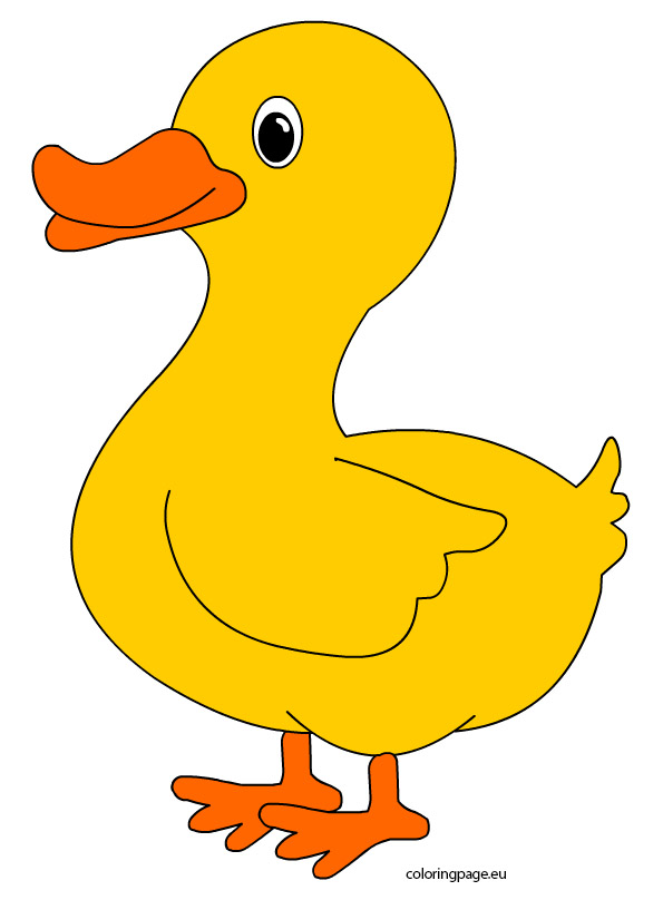 Duck Template Preschool ClipArt Best