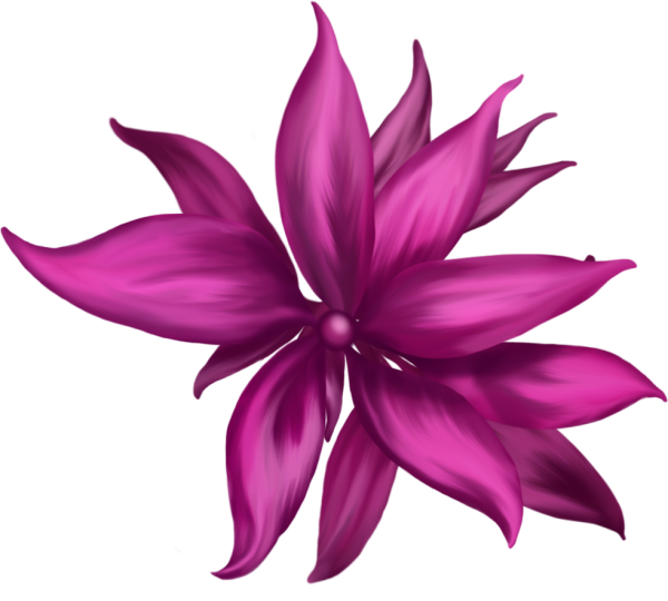 Pink flower Graphic - 3D and 2D Art - ShareCG