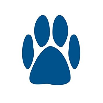 Amazon.com: My Wonderful Walls Paw Print Stencil: Home & Kitchen