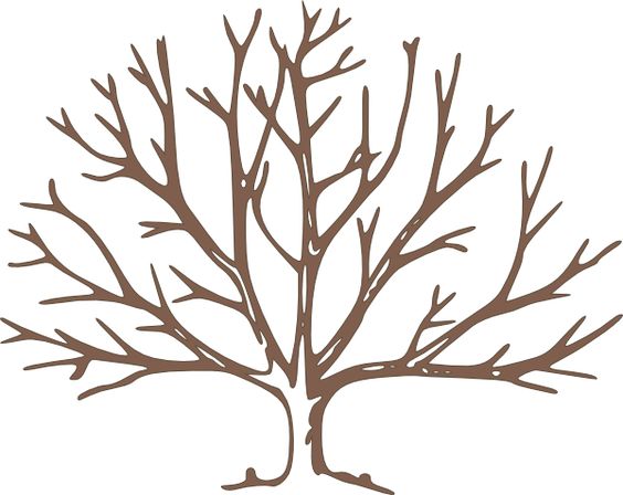 Trees, Clip art and Family trees